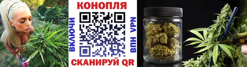 Канабис конопля Сасово